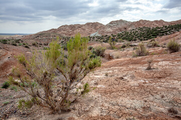 Clay-chalk hills of Kazakhstan with sparse vegetation.