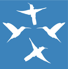 Hummingbird silhouette