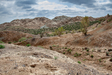 Clay-chalk hills of Kazakhstan with sparse vegetation.