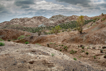 Fototapeta na wymiar Clay-chalk hills of Kazakhstan with sparse vegetation.
