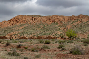 Clay-chalk hills of Kazakhstan with sparse vegetation.