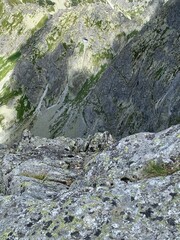 rock in the mountains