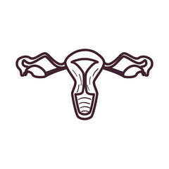 female reproductive system line style icon vector design