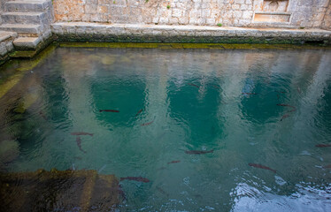 Old salt water pool in the summer residence of famous croatian poet in the Stari Grad town on the Hvar island, Croatia, with mullet fish swimming in the water