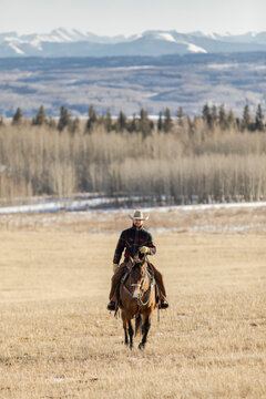 Man riding horse on ranch