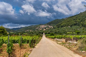 Village of Cara in green island landscape, Korcula island in Dalmatia, Croatia.