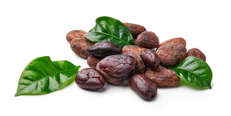 Cocoa beans with cocoa leaf isolated on white