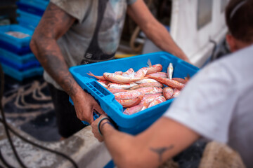 Sailor stacking fish boxes for sale