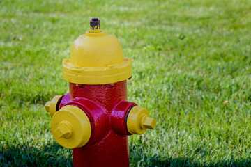 yellow and red fire hydrant