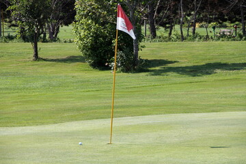 Obraz premium golf ball course pin hole flag