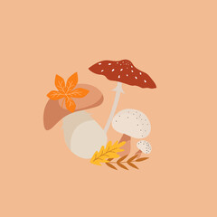 bouquet of mushrooms vector illustration