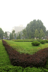 Obraz premium green landscape on a university campus