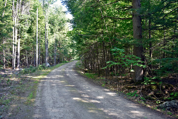 Remote Bending Road
