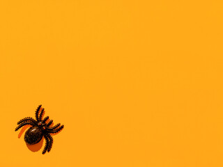 Halloween decoration. Black spider on an orange background. Copy space