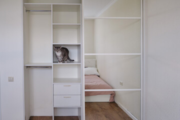 The cat sits on a shelf in an empty wardrobe