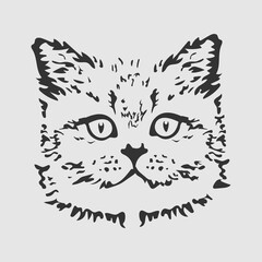 Cat - vector illustration