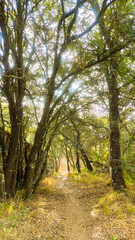 Sendero Cáceres