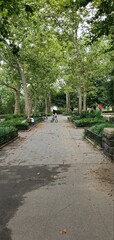 walk in the park