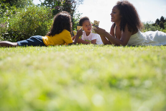 Happy mother and children drinking juice boxes in sunny summer grass