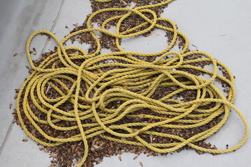 yellow rope 