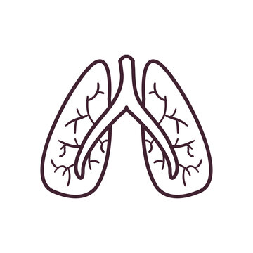 lungs line style icon vector design
