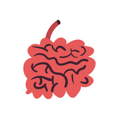 small intestine free form style icon vector design
