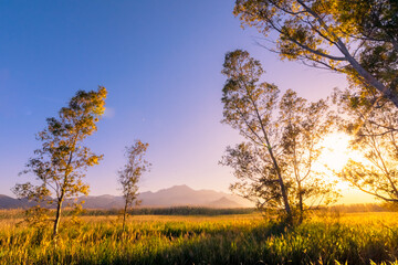 Sunset in the wetlands
