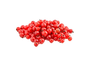 Red currant berries isolated on white background