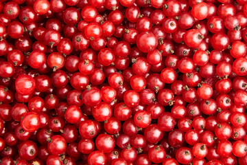 Ripe red currant berries food background
