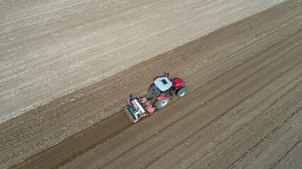 farmers use planters to grow potatoes on farms, LUANNAN COUNTY, Hebei Province, China