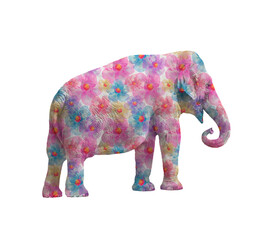 Elephant with flowers isolated on white background