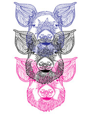 piglet. Doodling coloring book. A drawing with many details. Meditative coloring. Dots, strokes, patterns.