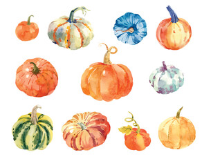Collection of hand drawn watercolor pumpkins. Isolated colorful illustration on white background. Symbol of thanksgiving day