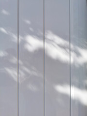 sunlight and abstract shadow from tree on white plastic panels