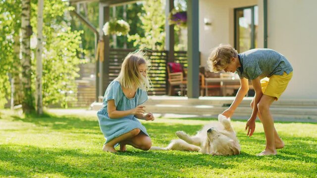 Two Kids Have fun with Their Handsome Golden Retriever Dog on the Backyard Lawn