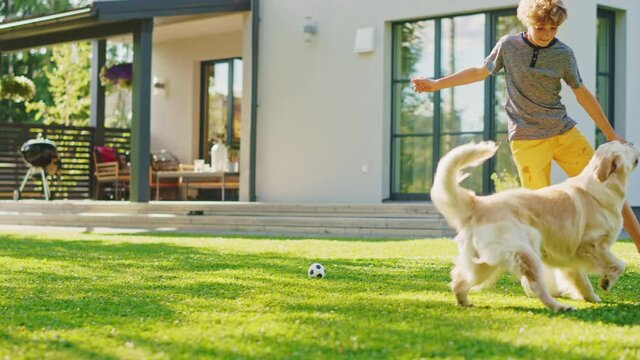 Handsome Young Boy Plays Soccer with Happy Golden Retriever Dog at the Backyard Lawn. He Pets, Plays Football and Has Lots of Fun with His Loyal Doggy Friend. Idyllic Summer House. Slow Motion