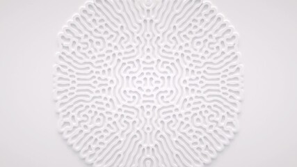 Reaction diffusion organic growing pattern. Cell division science background.