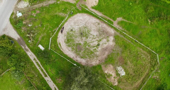 girl riding a horse in circle around inside the manage. Sunny day. Slow motion. Horse riding Shooting from a copter