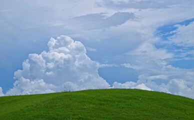 Shallow grassy hill on an overcast day, with a large cumulus cloud visible