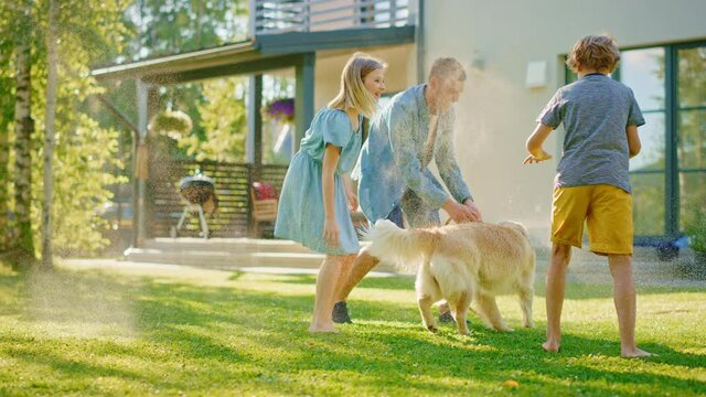 Father, Daughter, Son Play With Loyal Golden Retriever, Dog Tries to Catch Water from Garden Water Hose. Family Spending Fun Outdoors Time Together. Sunny Day Idyllic Suburban Home. Slow Motion Shot