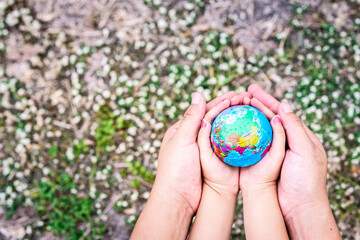Hands of children and adults embrace the world. Grass background with small white flowers blurred....