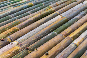 Many bamboo rows background with wood screws.
