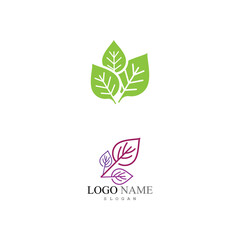 Leaf Logo Template vector symbol