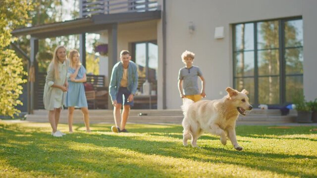 Smiling Beautiful Family of Four Play Fetch flying disc with Happy Golden Retriever Dog on the Backyard Lawn. Idyllic Family Has Fun with Loyal Pedigree Dog Outdoors in House Backyard. Slow Motion