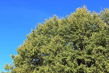 Wandern in der freien Natur