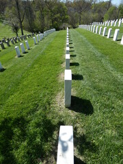 Veteran's graves