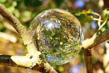 Lensball Fotografie