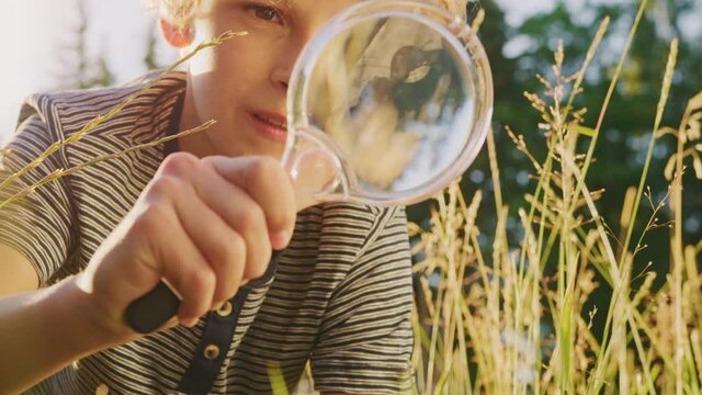 Handsome Young Naturalist Scientist Explores Plant Life and Insect Life with Magnifying Glass. Smart Curious Boy Botanist and Entomologist Explores Nature. Close-up Portrait of Child with Curly Hair