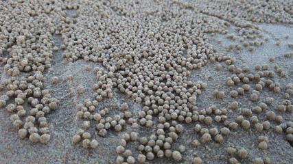 Hundreds of Sand Balls