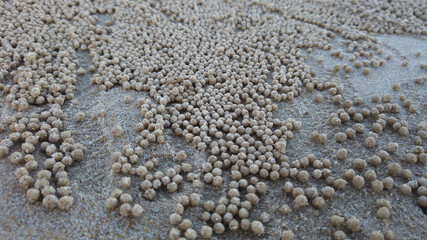 Hundreds of Sand Balls